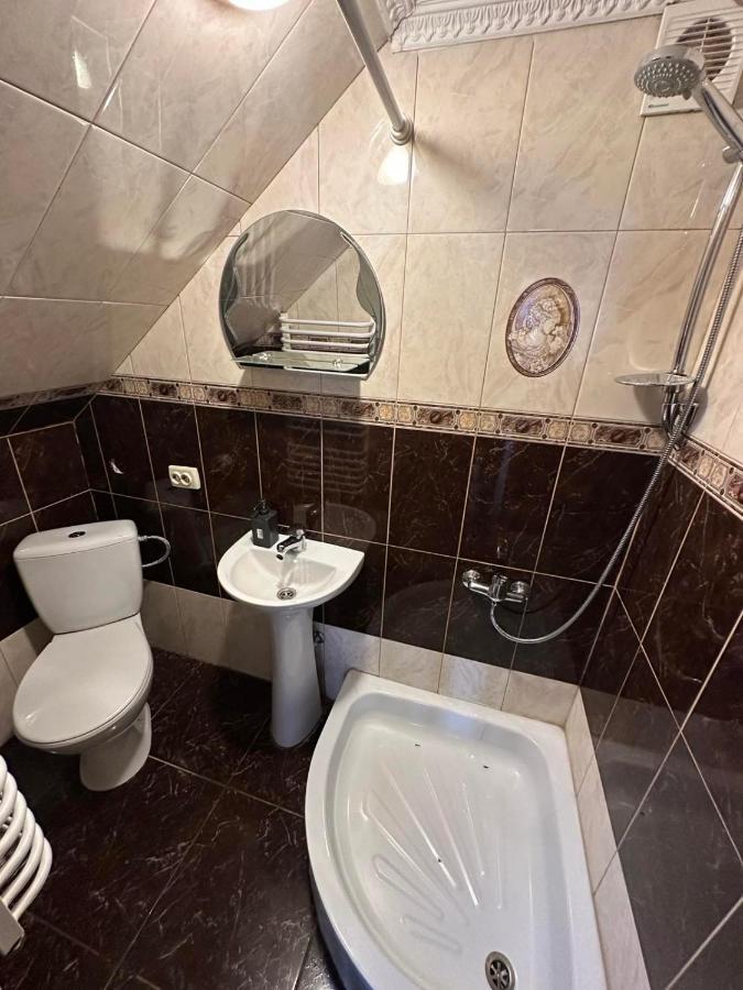 Silence Villa Mykulychyn Dış mekan fotoğraf